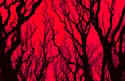 RedSkyBlackTrees