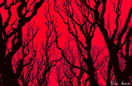 RedSkyBlackTrees